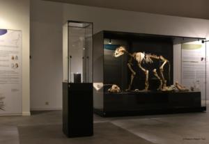 Musee du Malgre Tout